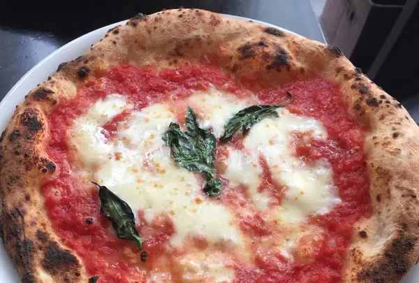 LOGIC横浜 Trattoria Pizzeriaの写真・動画_image_241887