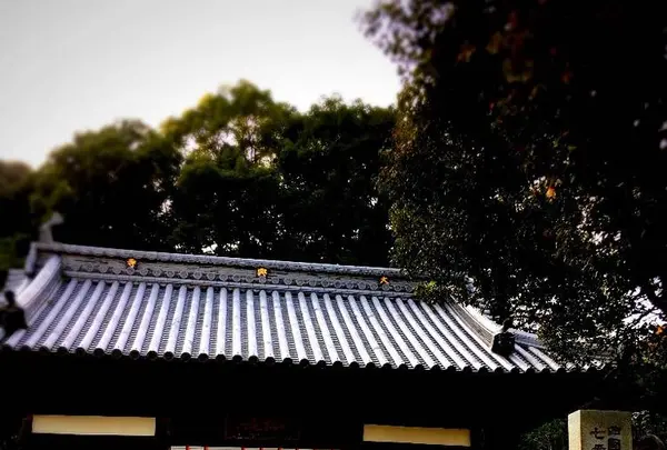 大興寺の写真・動画_image_241910