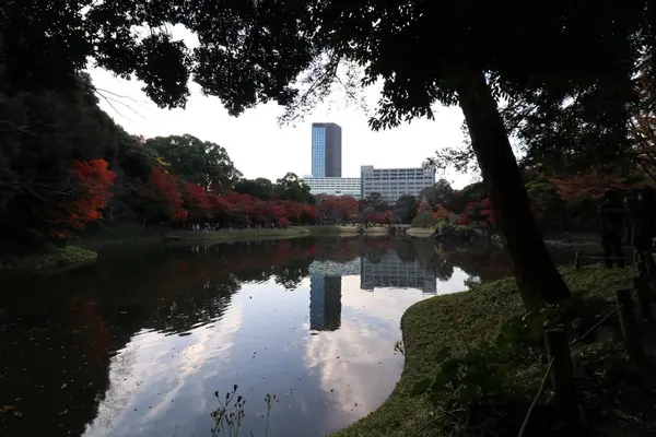 小石川後楽園の写真・動画_image_241960
