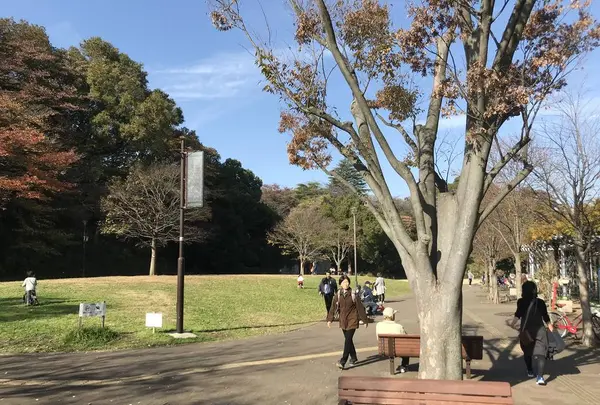 県立 三ツ池公園の写真・動画_image_242095