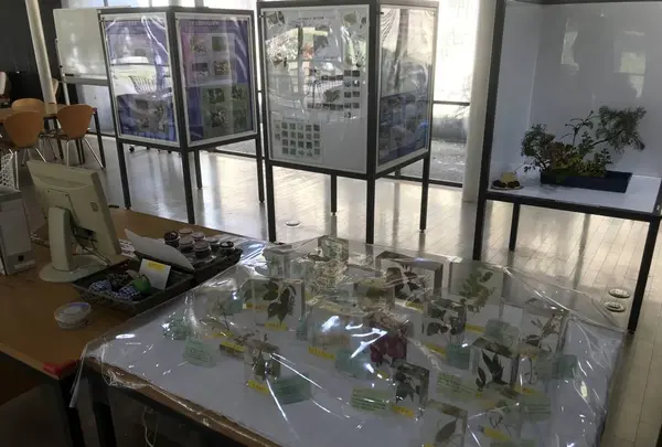 県立 三ツ池公園の写真・動画_image_242096