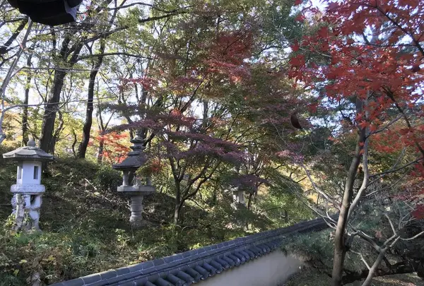 県立 三ツ池公園の写真・動画_image_242100