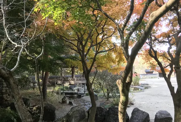 県立 三ツ池公園の写真・動画_image_242102