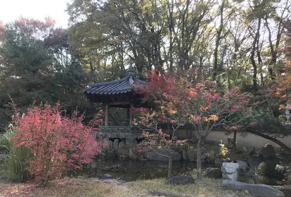県立 三ツ池公園の写真・動画_image_242106