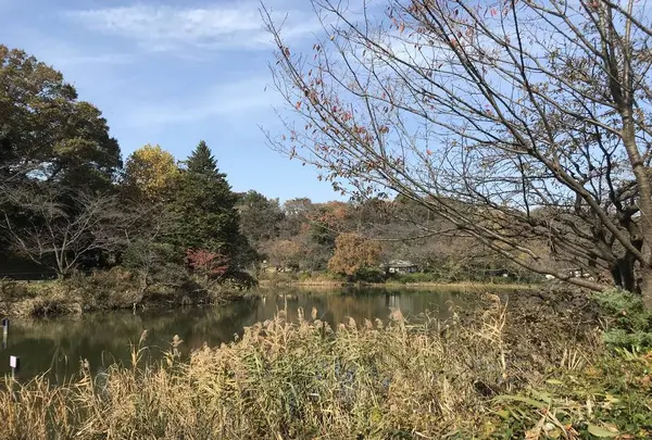 県立 三ツ池公園の写真・動画_image_242110