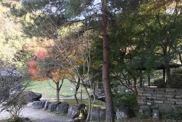 県立 三ツ池公園の写真・動画_image_242111