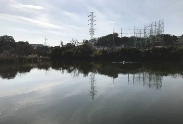 県立 三ツ池公園の写真・動画_image_242121