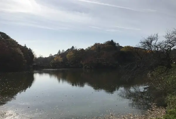 県立 三ツ池公園の写真・動画_image_242122