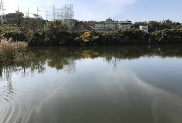 県立 三ツ池公園の写真・動画_image_242123