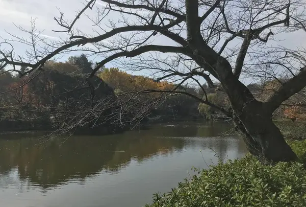 県立 三ツ池公園の写真・動画_image_242124