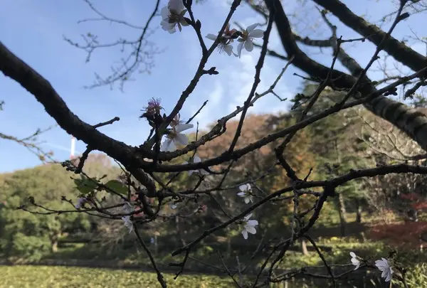 県立 三ツ池公園の写真・動画_image_242126