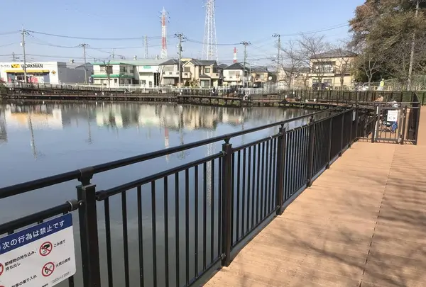 県立 三ツ池公園の写真・動画_image_242127