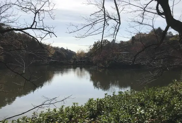 県立 三ツ池公園の写真・動画_image_242128