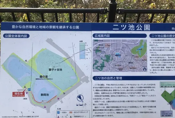県立 三ツ池公園の写真・動画_image_242129