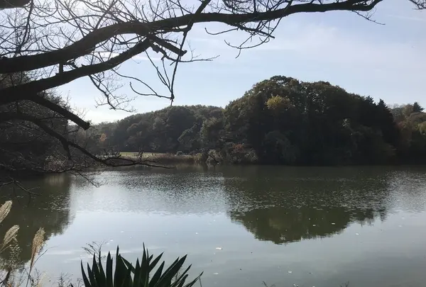 県立 三ツ池公園の写真・動画_image_242130