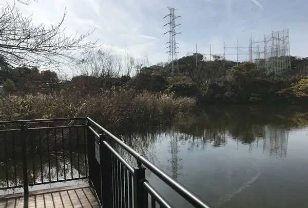 県立 三ツ池公園の写真・動画_image_242131