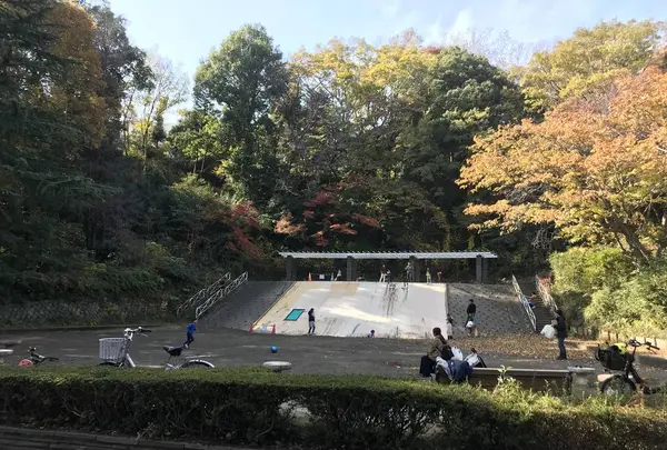県立 三ツ池公園の写真・動画_image_242132