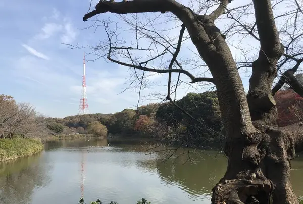 県立 三ツ池公園の写真・動画_image_242133