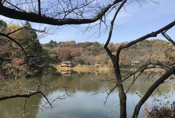 県立 三ツ池公園の写真・動画_image_242135
