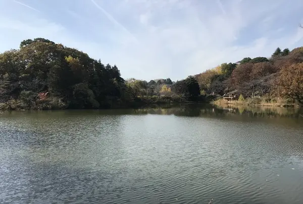 県立 三ツ池公園の写真・動画_image_242136