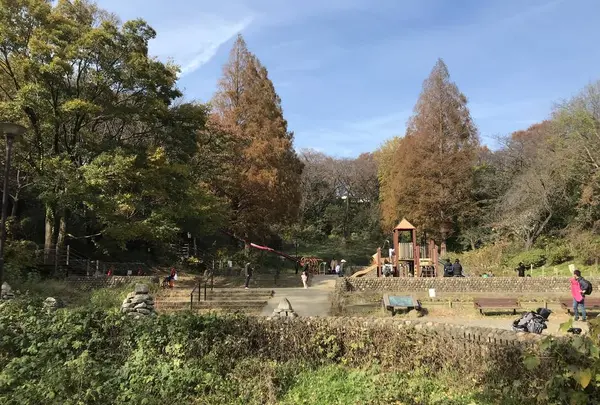県立 三ツ池公園の写真・動画_image_242137