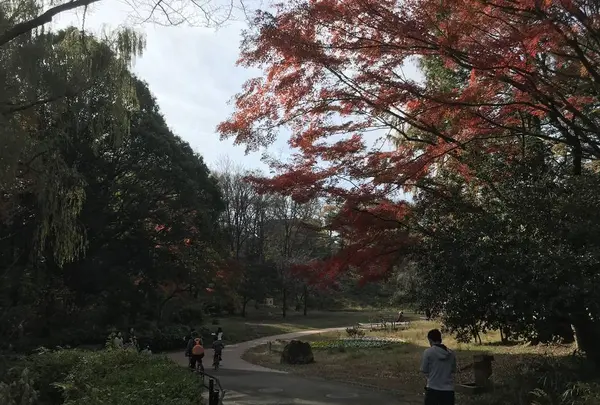 県立 三ツ池公園の写真・動画_image_242139