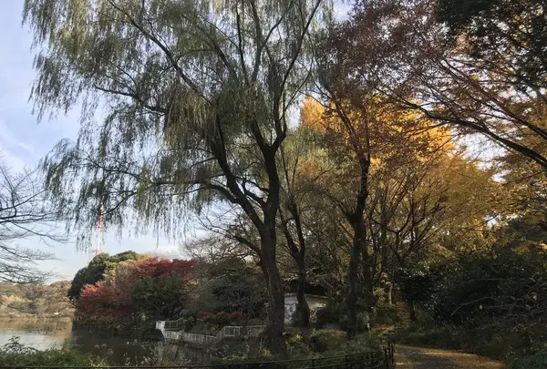 県立 三ツ池公園の写真・動画_image_242142