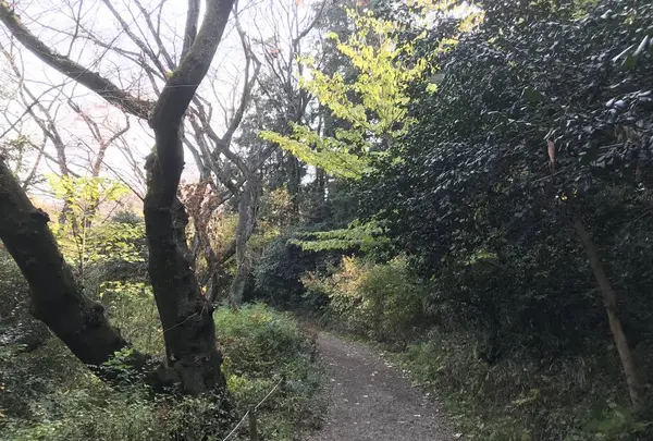 県立 三ツ池公園の写真・動画_image_242148