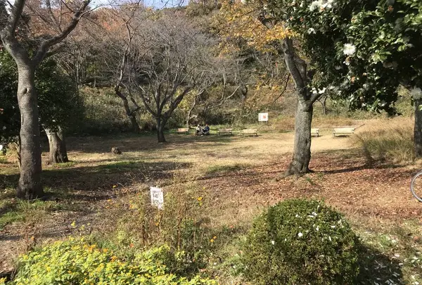 県立 三ツ池公園の写真・動画_image_242150