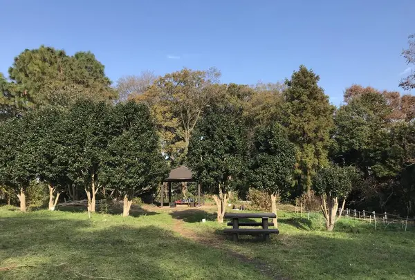 みその公園「横溝屋敷」の写真・動画_image_242194