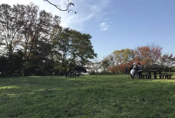 みその公園「横溝屋敷」の写真・動画_image_242195