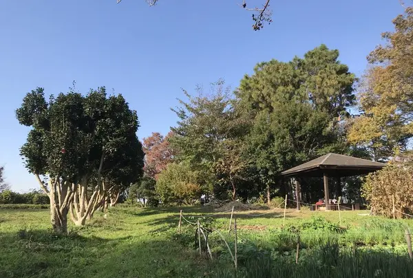 みその公園「横溝屋敷」の写真・動画_image_242196