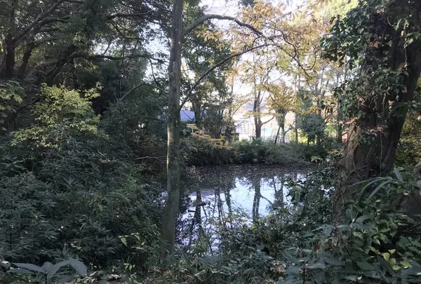 みその公園「横溝屋敷」の写真・動画_image_242197