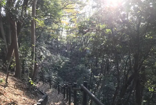 みその公園「横溝屋敷」の写真・動画_image_242200