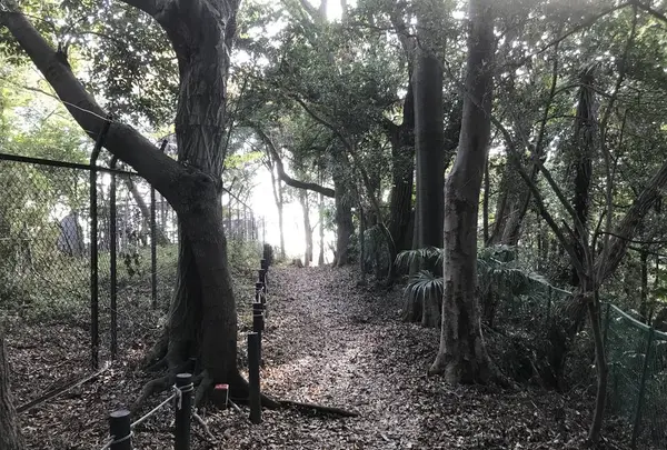 みその公園「横溝屋敷」の写真・動画_image_242201