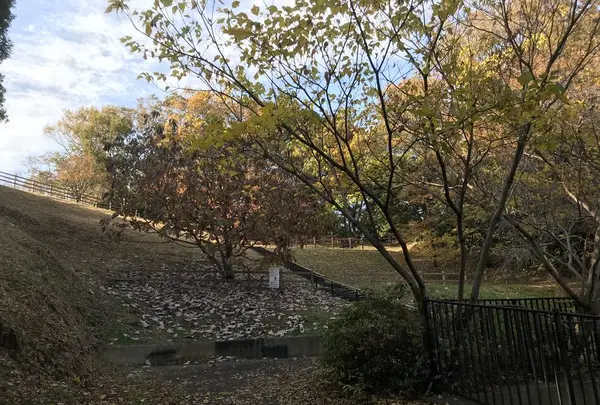 みその公園「横溝屋敷」の写真・動画_image_242202