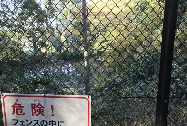 みその公園「横溝屋敷」の写真・動画_image_242203