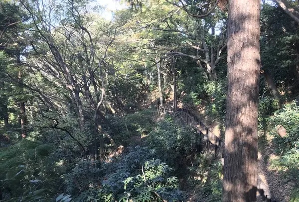 みその公園「横溝屋敷」の写真・動画_image_242204