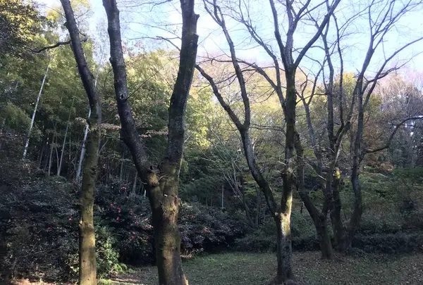 みその公園「横溝屋敷」の写真・動画_image_242205