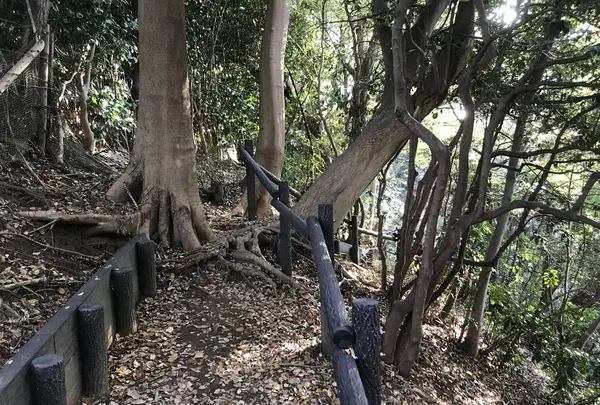 みその公園「横溝屋敷」の写真・動画_image_242206