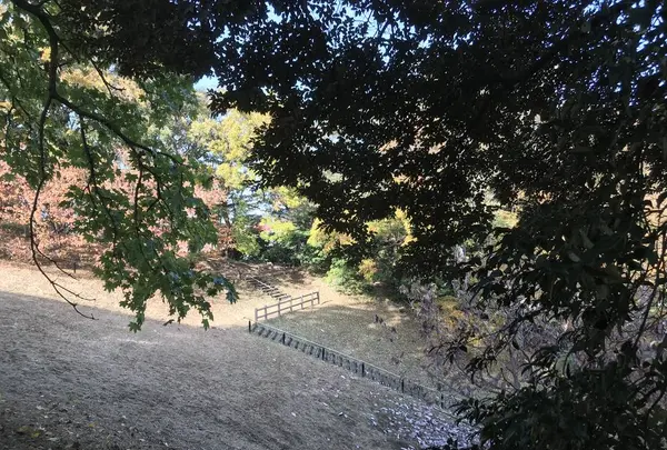 みその公園「横溝屋敷」の写真・動画_image_242207