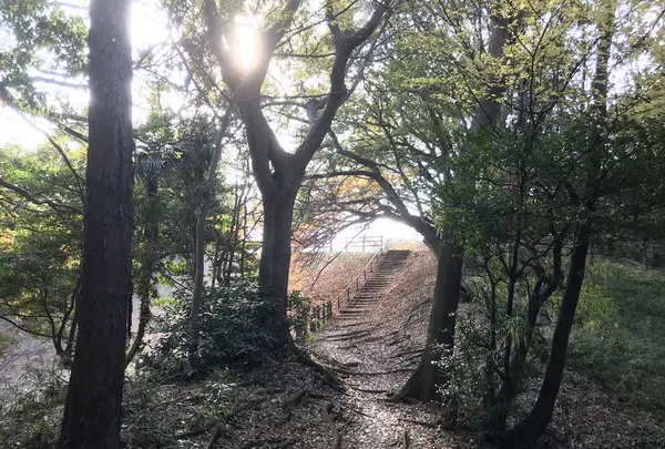 みその公園「横溝屋敷」の写真・動画_image_242208