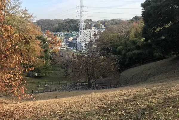 みその公園「横溝屋敷」の写真・動画_image_242210