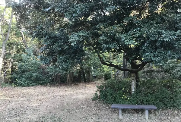 みその公園「横溝屋敷」の写真・動画_image_242211
