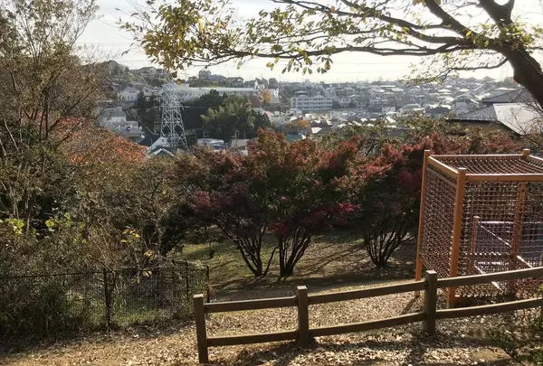 みその公園「横溝屋敷」の写真・動画_image_242212