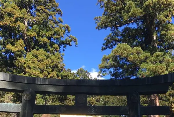 日光東照宮の写真・動画_image_242438