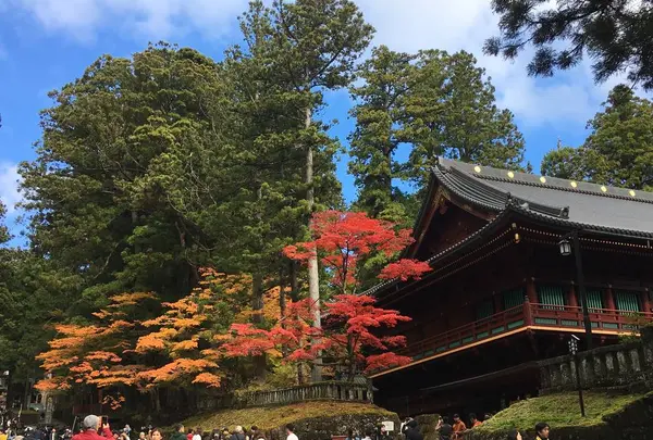 日光東照宮の写真・動画_image_242440