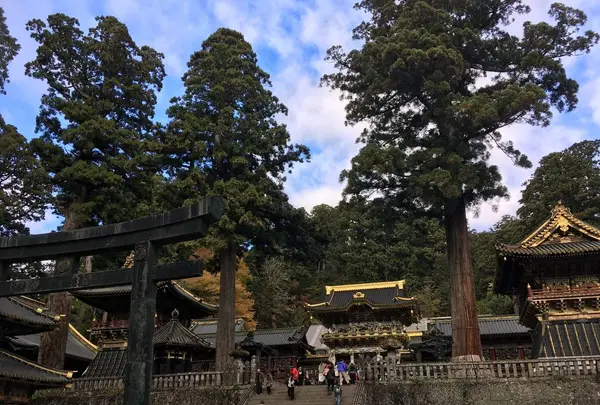 日光東照宮の写真・動画_image_242441
