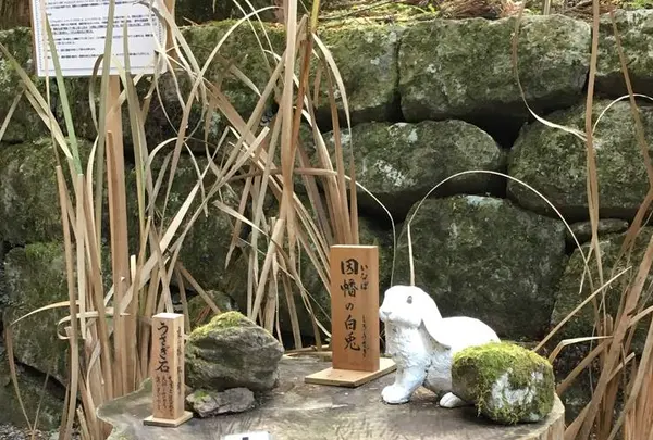 二荒山神社の写真・動画_image_242442