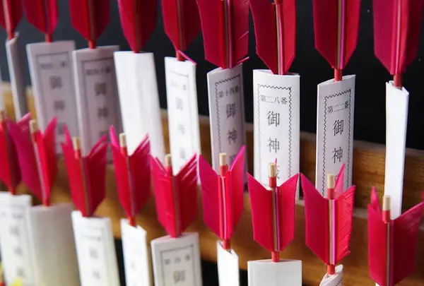 青島神社の写真・動画_image_242506
